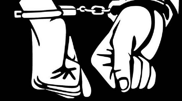 India – El brote de Covid-19 justifica proporcionar fianza o libertad condicional a todos los presos políticos 10