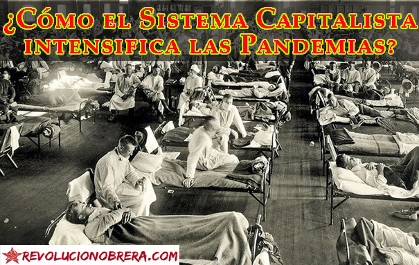 ¿Cómo el Sistema Capitalista intensifica las Pandemias? 11