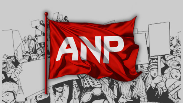 Comunicado de la Asamblea Nacional Popular Independiente
