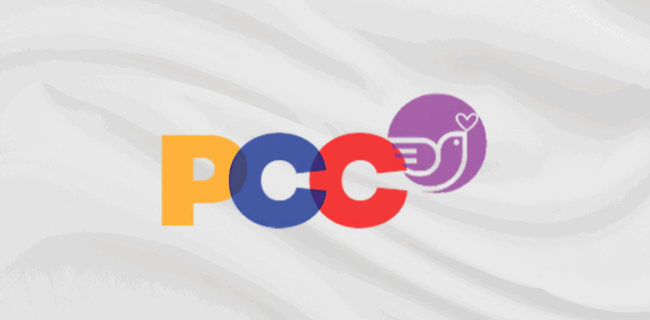 El PCC, el reformismo y el parlamentarismo revolucionario 1