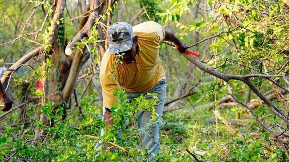 La tierra como trinchera: tomas campesinas en el norte de Colombia y la contradicción principal del agro 1